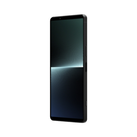 Sony Xperia 1 V 12/256Gb Global Черный