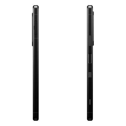 Sony Xperia 1 III 12/256Gb Global Черный