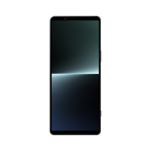 Sony Xperia 1 V 12/256Gb Global Черный