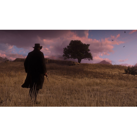 Xbox Red Dead Redemption 2 