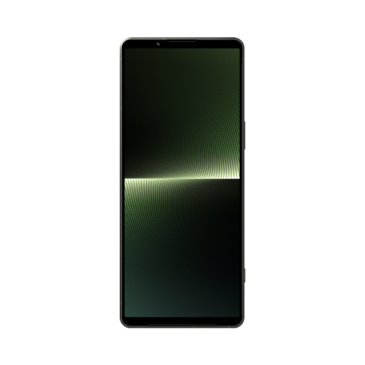 Sony Xperia 1 V 12/512Gb Global Зеленый