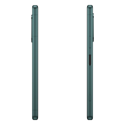 Sony Xperia 5 IV 8/256Gb (XQ-CQ72) Global Зеленый