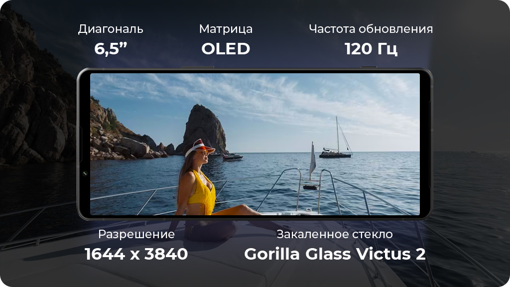 Sony Xperia 1 V 12/256Gb Черный Global Version